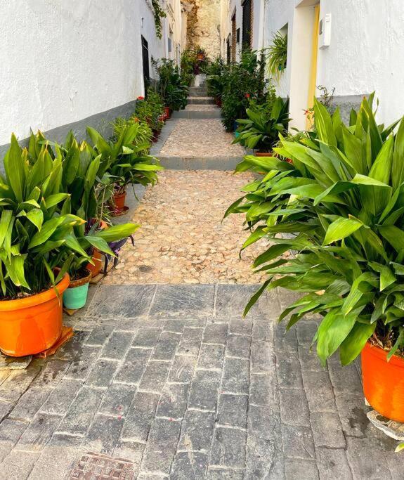 Mi Rincon Favorito Apartment Cogollos De La Vega ภายนอก รูปภาพ